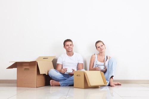 Risk assessment and planning for a man and van move